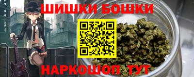 шишки Бийск