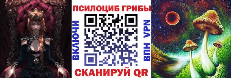 Галлюциногенные грибы мицелий  где купить наркоту  Волжск 