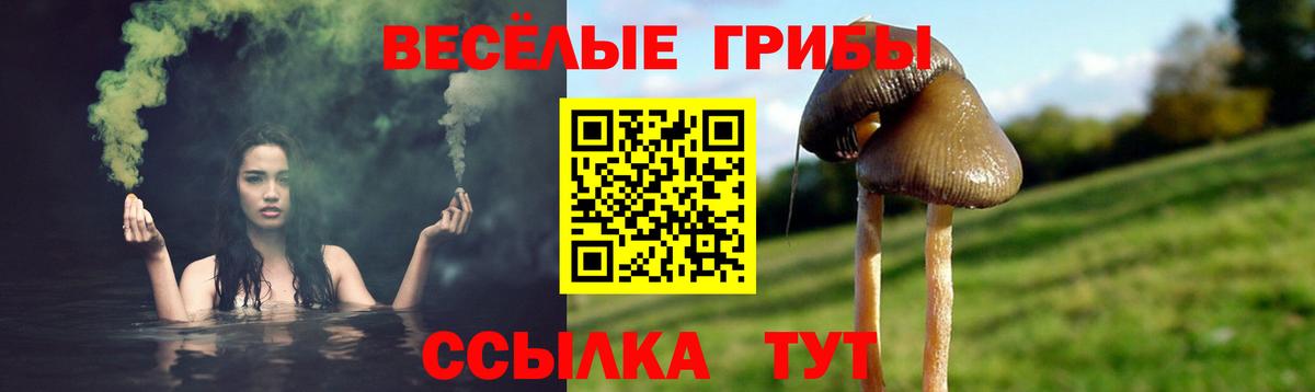 Волжск  Галлюциногенные грибы GOLDEN TEACHER  Псилоцибиновые грибы мицелий  Вход с VPN 